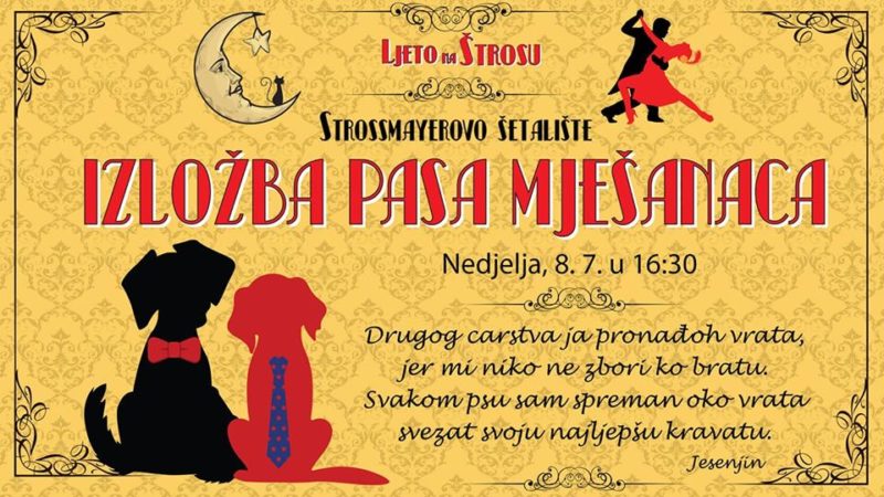 Ljeto na Štrosu - Izložba pasa mješanaca