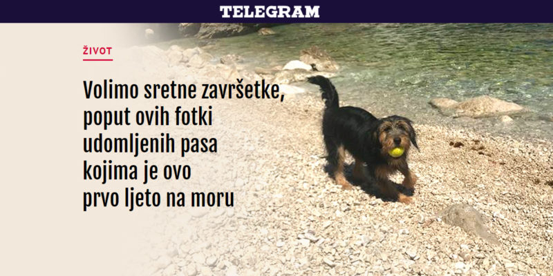 Prvo ljetovanje naših bivših štićenika - Telegram.hr