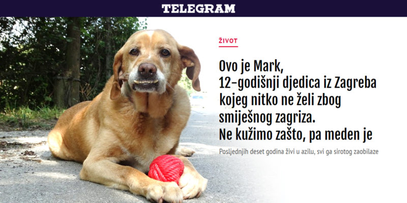 Mark je nabacio smiješak samo za tebe ;) - Telegram.hr