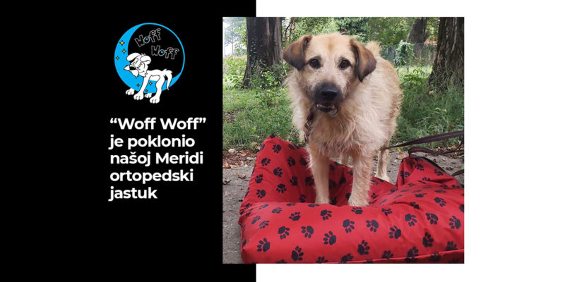 "Woff Woff" za Meridu!