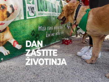 🐾 Međunarodni dan zaštite životinja, Bundek 5.10.2019. 🐾