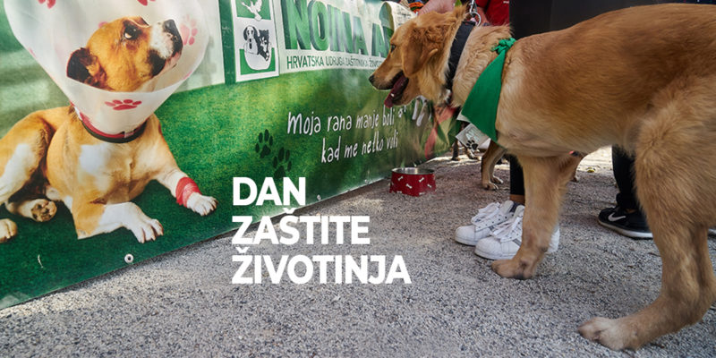 🐾 Međunarodni dan zaštite životinja, Bundek 5.10.2019. 🐾