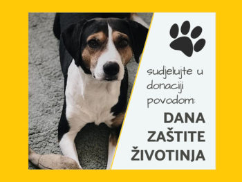 ❤️SAMO DANAS - posebna akcija Pet centra!!!!❤️