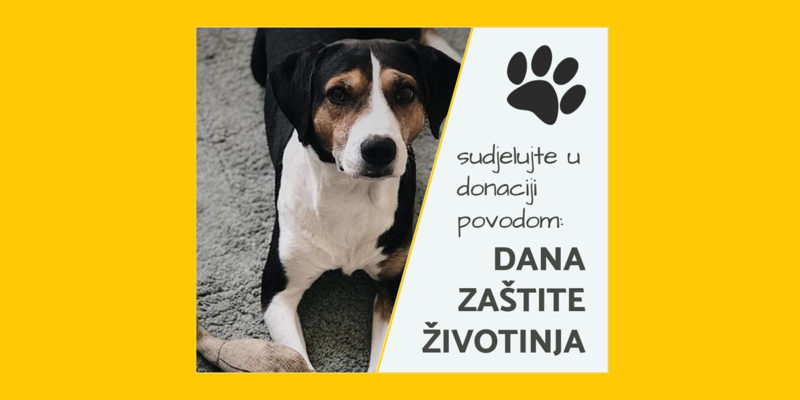 ❤️SAMO DANAS - posebna akcija Pet centra!!!!❤️