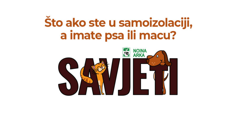 Što ako ste u samoizolaciji, a imate psa ili macu?