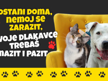 Ostani doma, nemoj se zarazit, svoje dlakavce trebaš mazit i pazit 🐾❣️