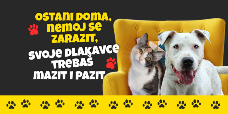 Ostani doma, nemoj se zarazit, svoje dlakavce trebaš mazit i pazit 🐾❣️