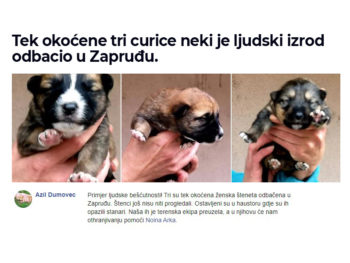 Tek okoćene tri curice neki je ljudski izrod odbacio u Zapruđu.