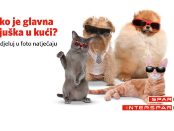 NAGRADNI NATJEČAJ: Tko je glavna njuška u vašoj kući? 🐕🐈