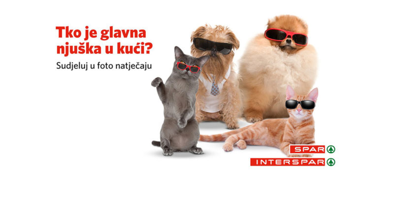 NAGRADNI NATJEČAJ: Tko je glavna njuška u vašoj kući? 🐕🐈