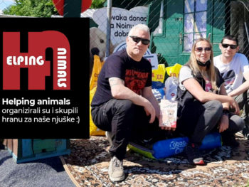 Helping animals organizirali su i skupili hranu za naše njuške ❤️