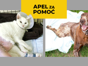 Apel za pomoć