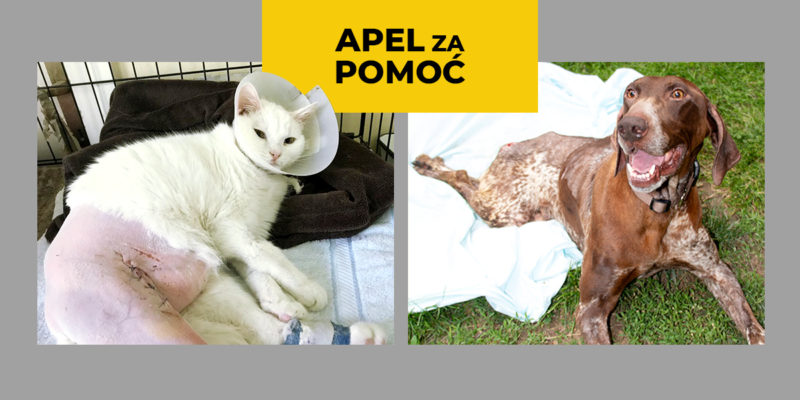 Apel za pomoć