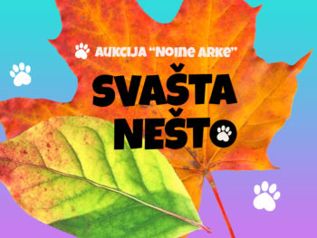 Jesenska AUKCIJA "Svašta nešto"