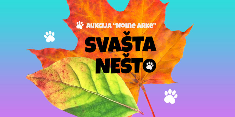 Jesenska AUKCIJA "Svašta nešto"