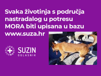 UPUTE za sve koji pomažu životinjama s područja nastradalog u potresu!!!