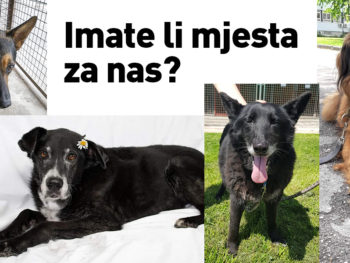 Imate li mjesta za nas?