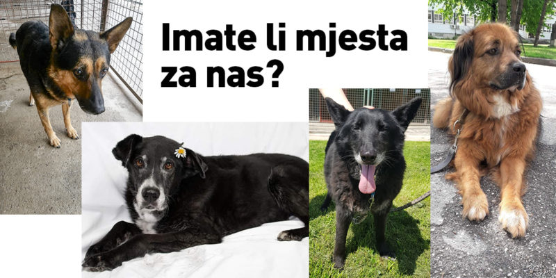 Imate li mjesta za nas?