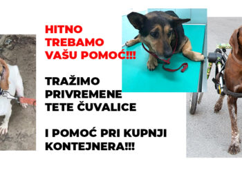 HITNO!!! - Traže se tete čuvalice  i pomoć pri kupnji kontejnera!