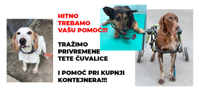 HITNO!!! - Traže se tete čuvalice  i pomoć pri kupnji kontejnera!