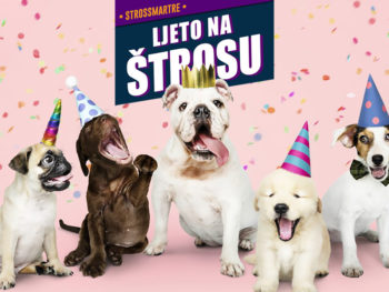 LJETO NA ŠTROSU:💞🐾Revija pasa mješanaca💞🐾