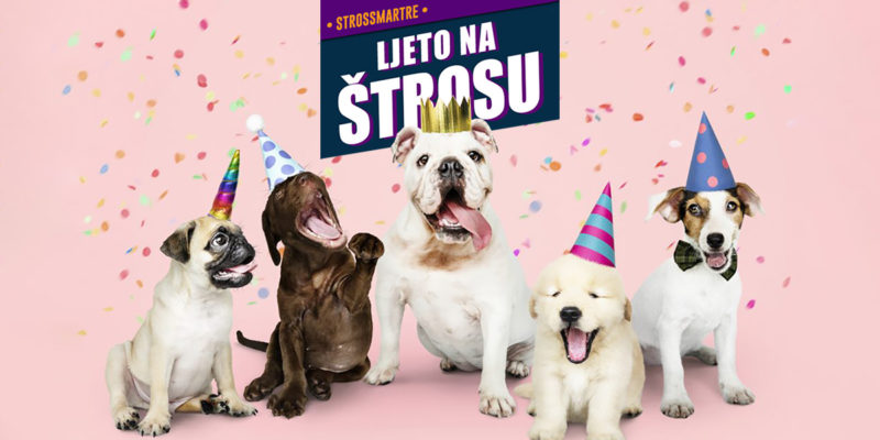 LJETO NA ŠTROSU:💞🐾Revija pasa mješanaca💞🐾