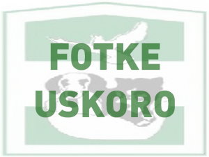 fotke uskoro