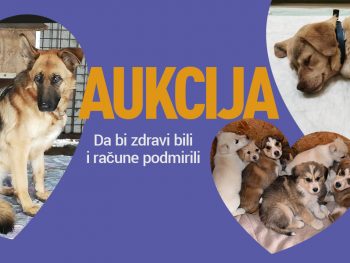 AUKCIJA „Da bi zdravi bili i račune podmirili“ - od  7. do 13.2.22. u 22.00 sata