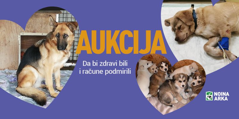 AUKCIJA „Da bi zdravi bili i račune podmirili“ - od  7. do 13.2.22. u 22.00 sata