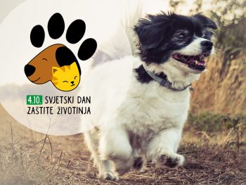 🐾🐾04.10. – MEĐUNARODNI DAN ZAŠTITE ŽIVOTINJA🐾🐾