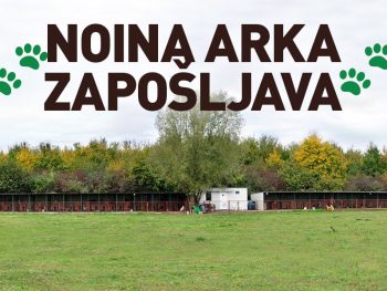 Udruga Noina arka traži zaposlenicu/zaposlenika!