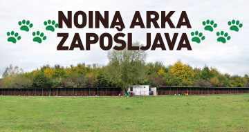 Udruga NOINA ARKA traži zaposlenicu/zaposlenika!
