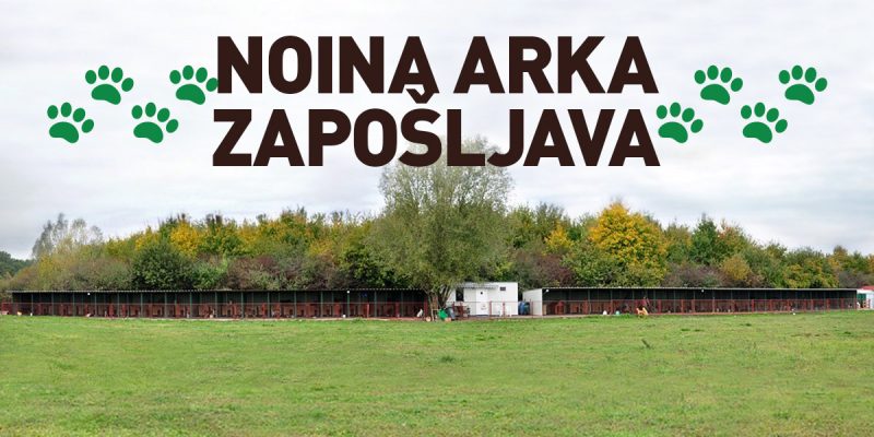 Udruga NOINA ARKA traži zaposlenicu/zaposlenika!