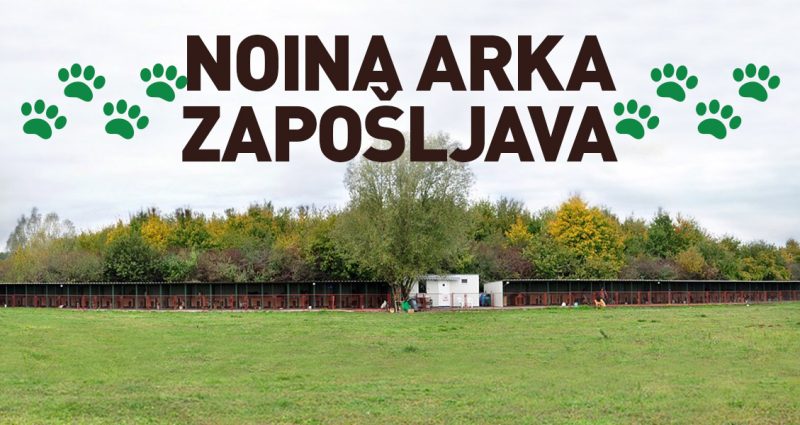 Udruga Noina arka traži zaposlenicu/zaposlenika!