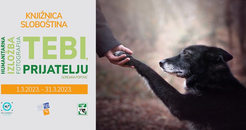 Izložba fotografija “Tebi, prijatelju”