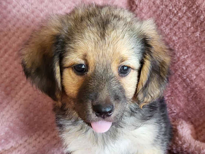 Edmond