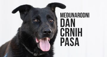 Međunarodni dan crnih pasa