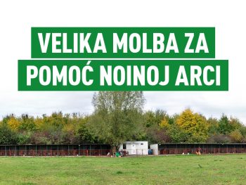 VELIKA MOLBA ZA POMOĆ Noinoj arci