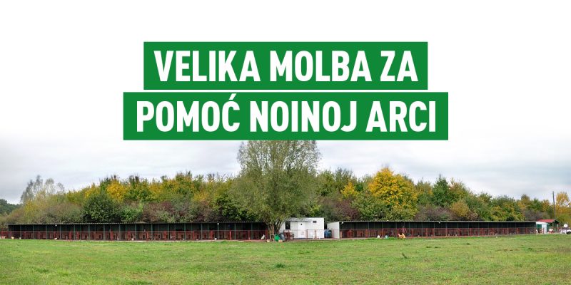 VELIKA MOLBA ZA POMOĆ Noinoj arci