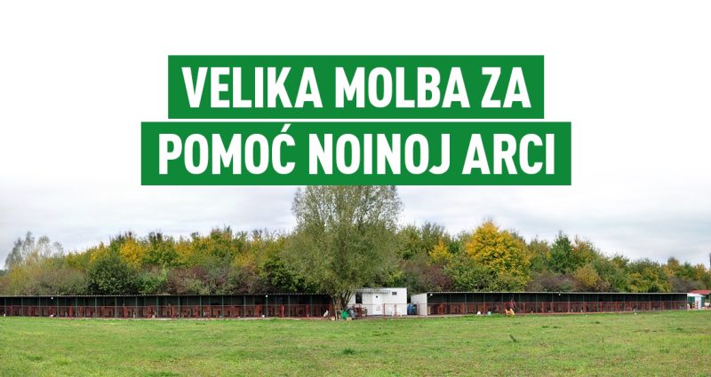 VELIKA MOLBA ZA POMOĆ Noinoj arci