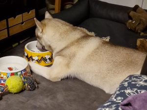Barnaby_5