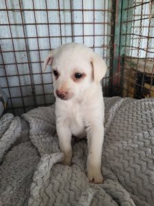 casper_1