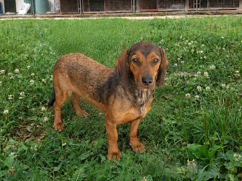 Tirra